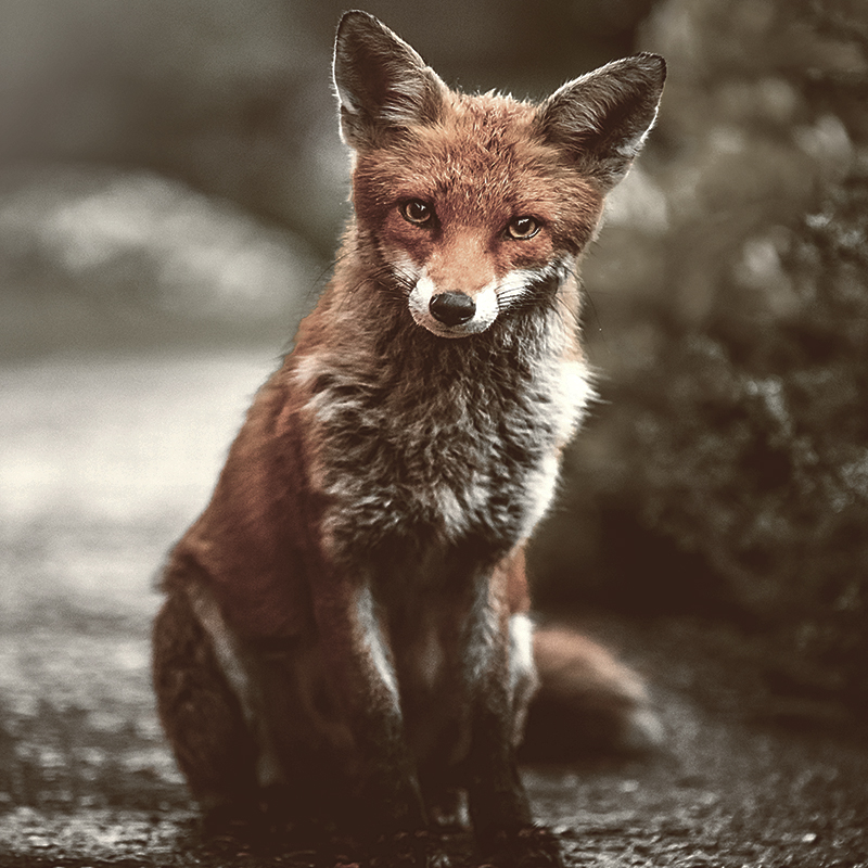 alexander-andrews-mEdKuPYJe1I-unsplash