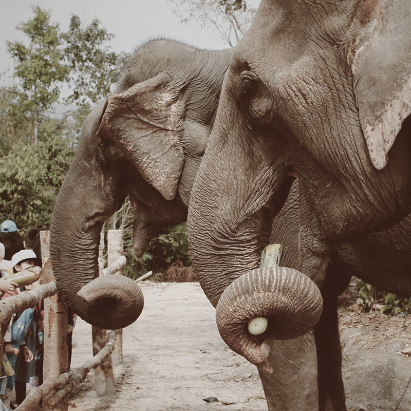 irene-grace-tolentino-6v-5WjeAr7Y-unsplash